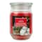 17oz. Christmas Scented Jar Candle by Ashland®